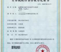 軟件著作權(quán)申請(qǐng)全攻略 自主辦理與專業(yè)代理詳解